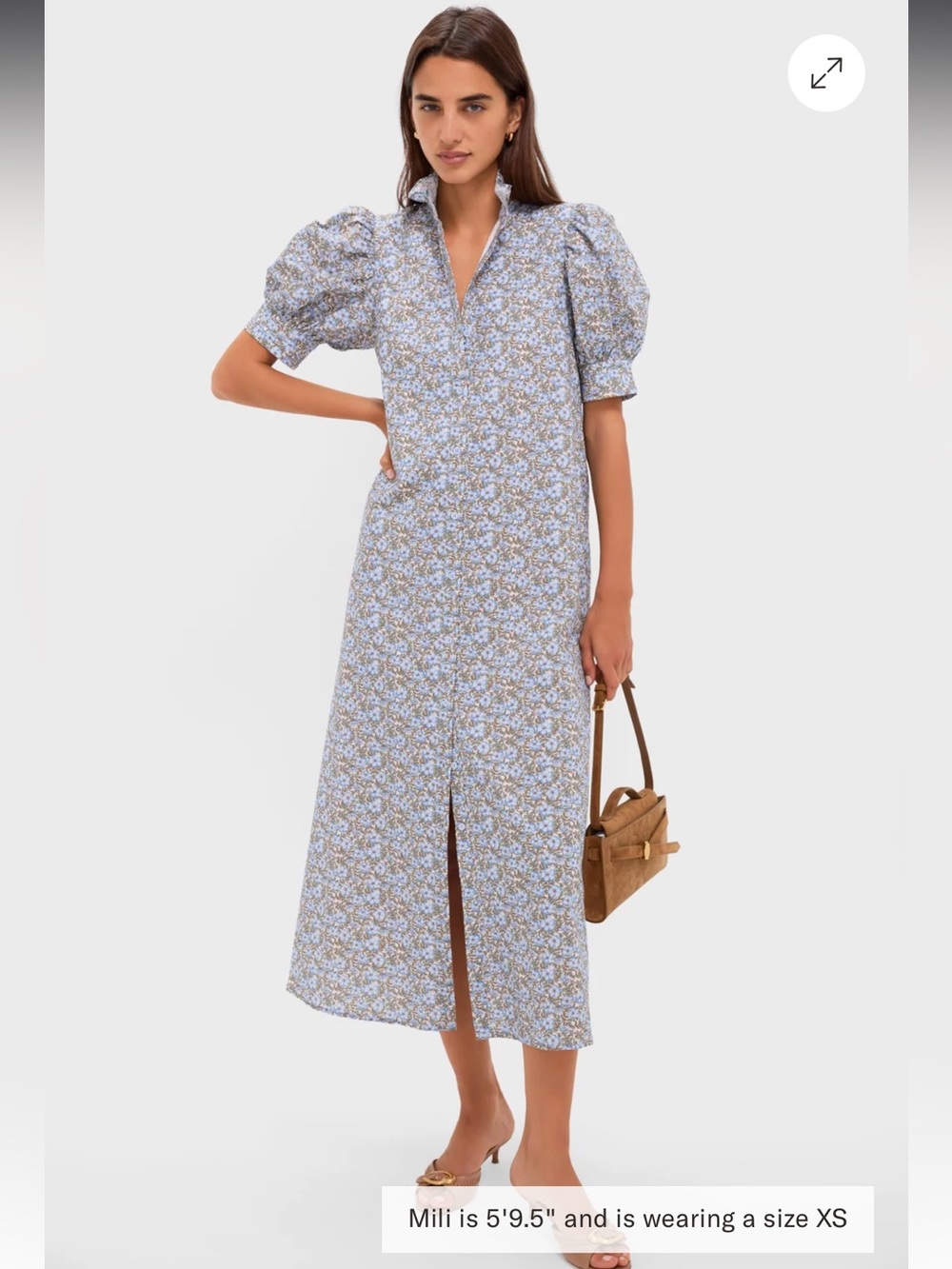 HYACINTH HOUSE Tuckernuck SMALL Dusty Blue & Brown Floral Louisa Maxi Dress NWT